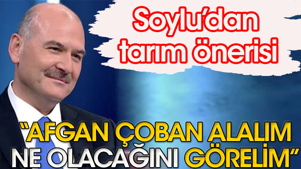 “Afgan çoban alalım, ne olacağını görelim” | Süleyman Soylu’dan tarım önerisi